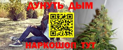 амф Можга