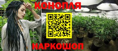 амф Можга