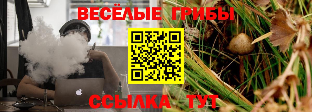Псилоцибиновые грибы Psilocybine cubensis  как найти закладки  Тара  Псилоцибиновые грибы Psilocybe  Вход с VPN 